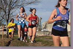 Begles 15.12.13 01 524 * 679 x 453 * (158KB)